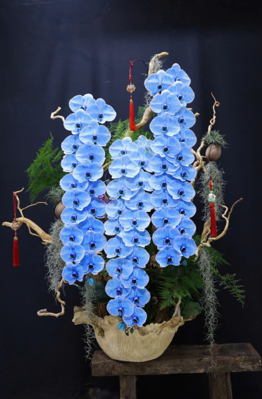các loài hoa tặng mẹ