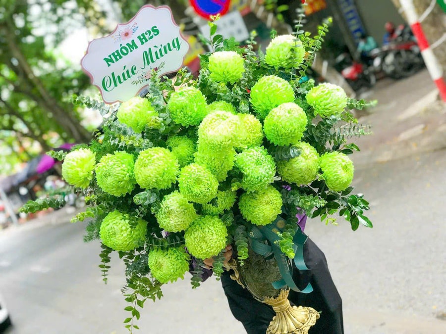 bó hoa cúc mẫu đơn