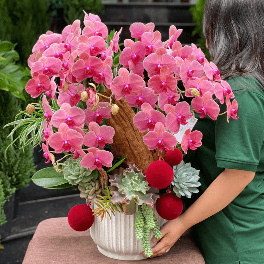 Hoa Lan Tặng Sinh Nhật Sang Trọng Cực Đẹp & Đầy Ý Nghĩa 18 hoa lan tặng sinh nhật