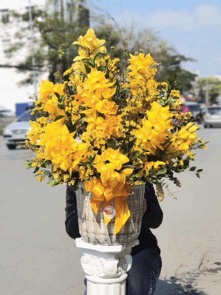 Hoa Lan Tặng Sinh Nhật Sang Trọng Cực Đẹp & Đầy Ý Nghĩa 22 hoa lan đẹp tặng sinh nhật