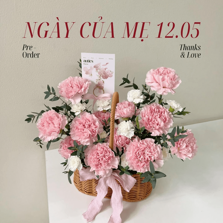 Ý Nghĩa Hoa Cẩm Chướng Trong Tình Cảm & Đời Sống 15 ý nghĩa hoa cẩm chướng