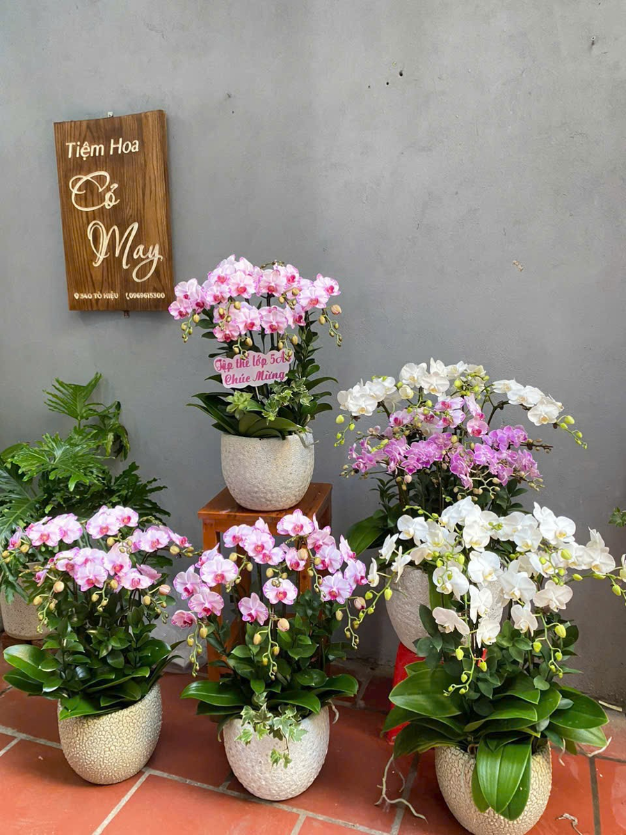 Top 6 Shop Hoa Sinh Nhật Hà Nội Đẹp, Uy Tín & Giao Nhanh 2026 8 hoa sinh nhật hà nội