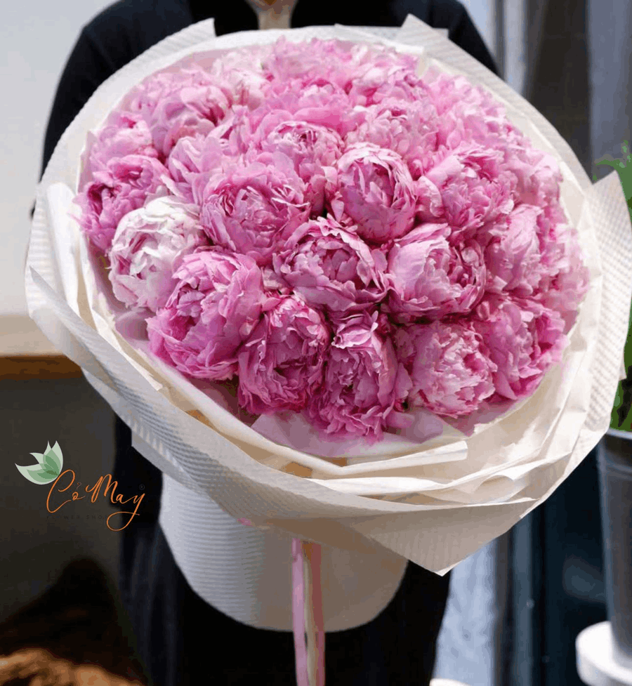 Ý Nghĩa Các Loài Hoa Tượng Trưng Cho 12 Cung Hoàng Đạo 20 loài hoa tượng trưng cho 12 cung hoàng đạo