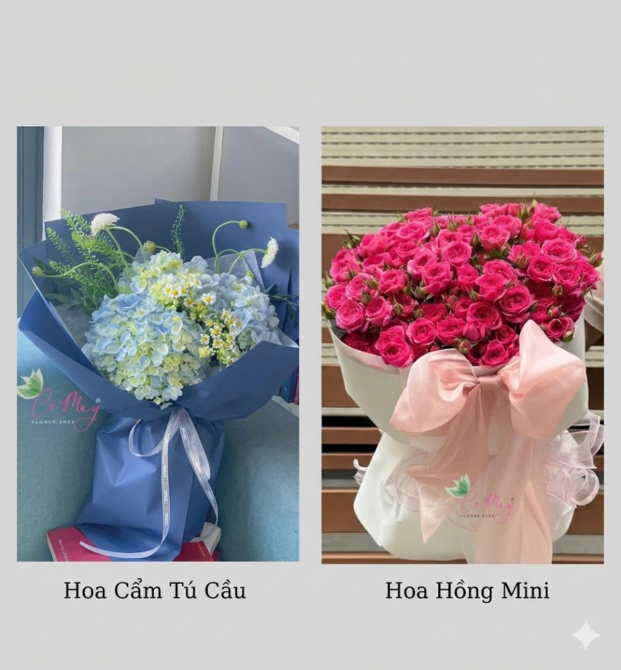 Ý Nghĩa Các Loài Hoa Tượng Trưng Cho 12 Cung Hoàng Đạo 21 loài hoa tượng trưng cho 12 cung hoàng đạo