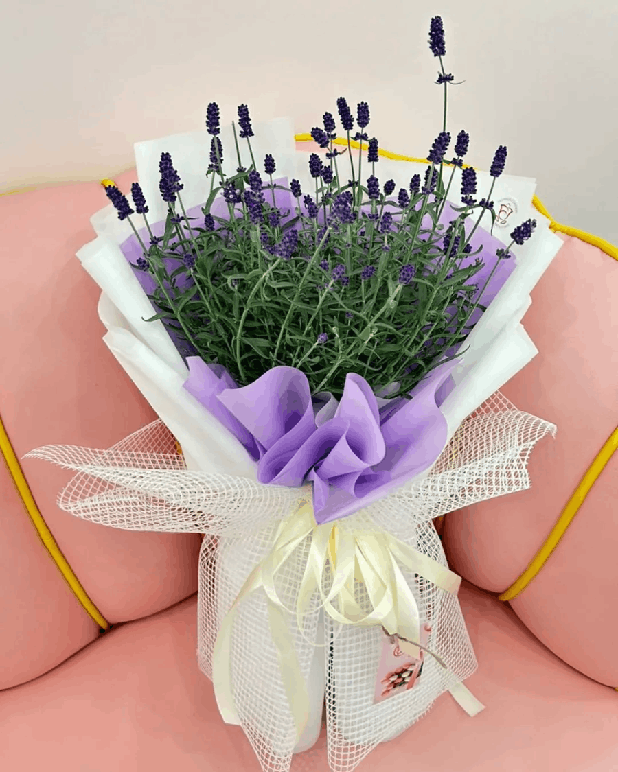 Ý Nghĩa Các Loài Hoa Tượng Trưng Cho 12 Cung Hoàng Đạo 17 loai hoa tuong trung cho 12 cung hoang dao 8
