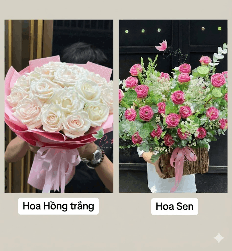 Ý Nghĩa Các Loài Hoa Tượng Trưng Cho 12 Cung Hoàng Đạo 18 những loài hoa tượng trưng cho 12 cung hoàng đạo