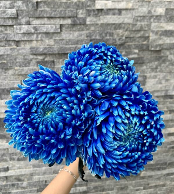 Lẵng Hoa Mừng Khai Trương Hồng Phát - G49 2 lẵng hoa mừng khai trương hồng phát