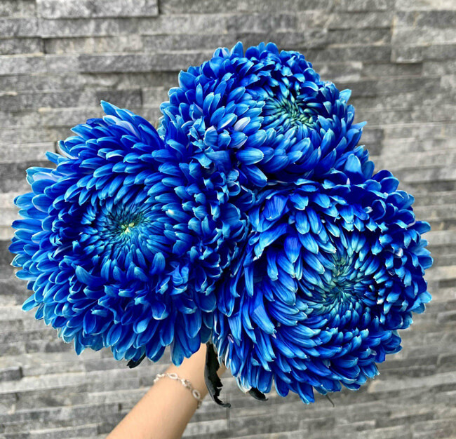 Cup Hoa Khai Trương Vinh Quang - NK08 2 hoa tươi tân bình
