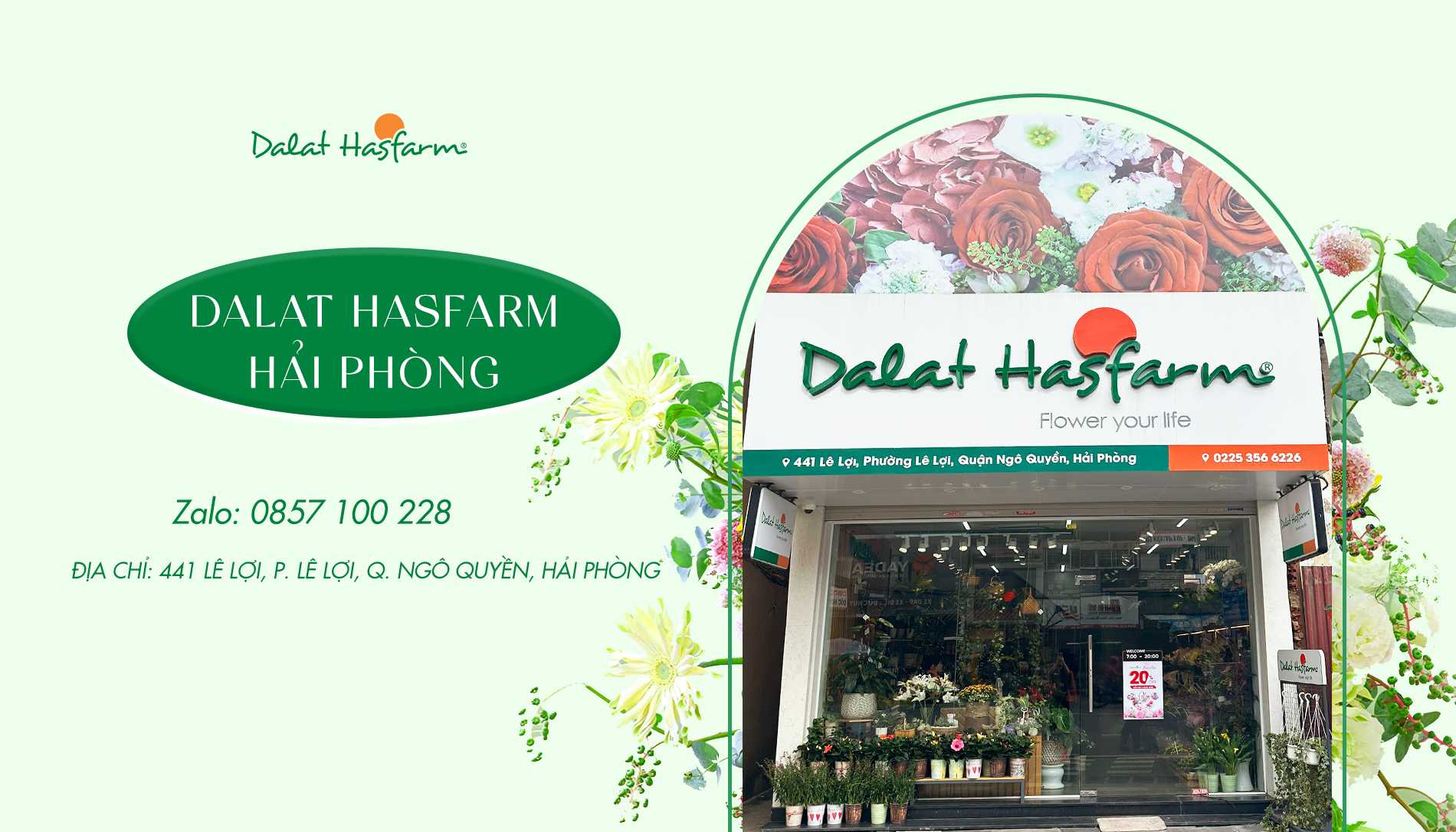 Top 6 Tiệm Hoa Tươi Hải Phòng Uy Tín Và Chất Lượng Nhất 2026 10 hoa tươi hải phòng