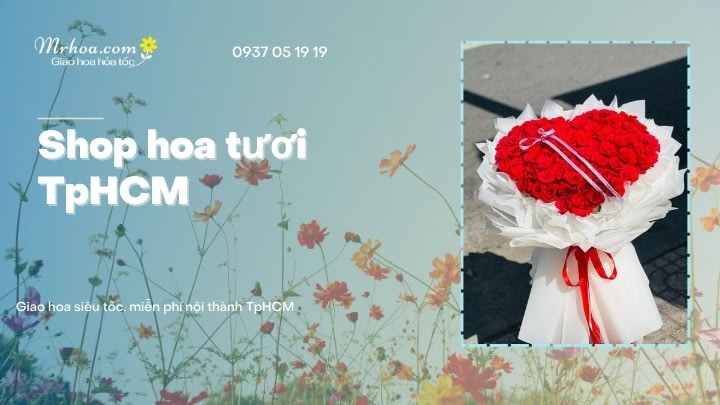 Top 8 Shop Hoa Quận Tân Bình Uy Tín Nhất Năm 2026 12 shop hoa quận tân bình