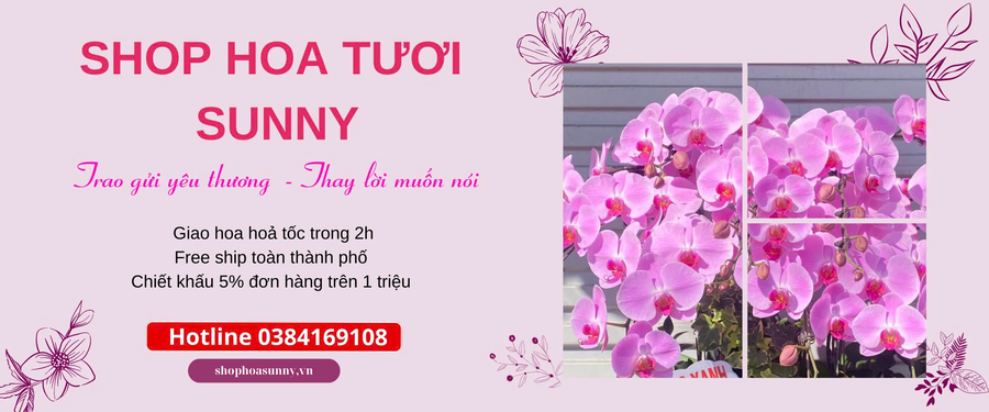 Top 8 Shop Hoa Quận Tân Bình Uy Tín Nhất Năm 2026 10 shop hoa quận tân bình