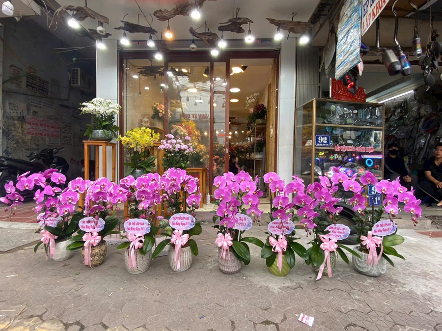Top 8 Shop Hoa Quận Tân Bình Uy Tín Nhất Năm 2026 9 shop hoa quận tân bình