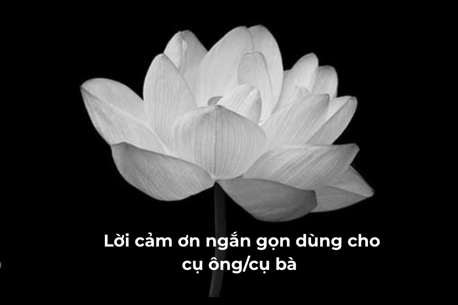 Mẫu Lời Cảm Ơn Sau Đám Tang Trang Trọng, Chân Thành Nhất 11 lời cảm ơn sau đám tang