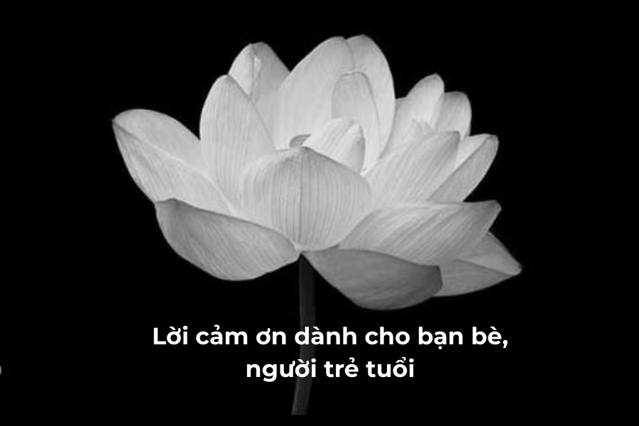 Mẫu Lời Cảm Ơn Sau Đám Tang Trang Trọng, Chân Thành Nhất 13 lời cảm ơn sau đám tang