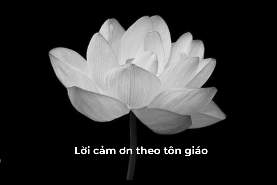 Mẫu Lời Cảm Ơn Sau Đám Tang Trang Trọng, Chân Thành Nhất 14 lời cảm ơn sau đám tang