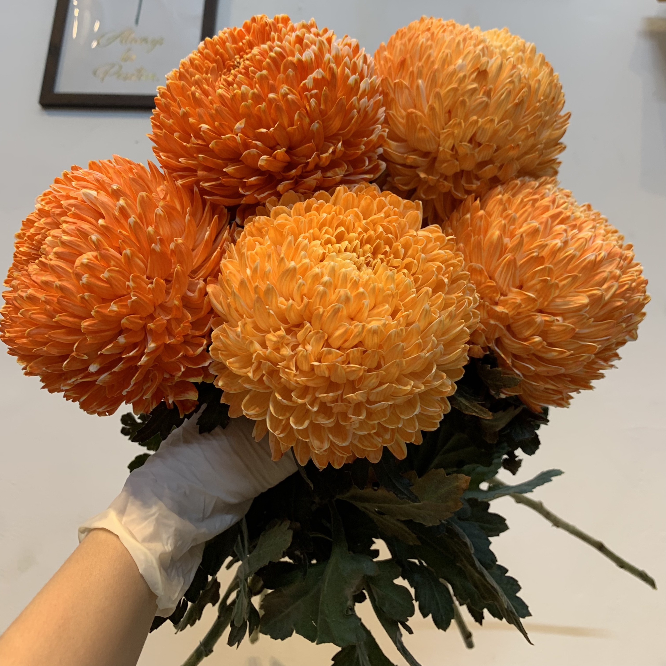 Lẵng Hoa Khai Trương Tài Lộc Hưng Vượng - B53 2 cúc mẫu đơn vàng cam
