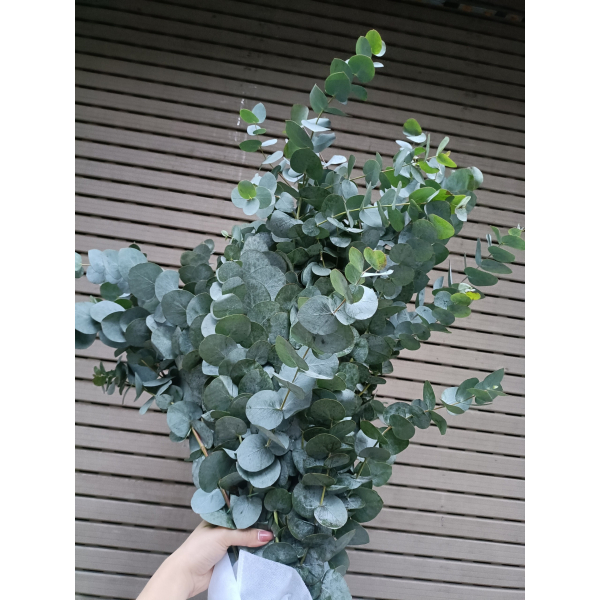Bó hoa Tulip Thì Thầm Yêu Thương - TL23 3 chi tiết hoa phụ trang trí