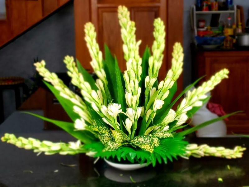 Hoa Cúng Tổ Nghề Sân Khấu: Ý Nghĩa Và Các Loại Hoa Dâng Tổ 14 hoa cúng tổ nghề sân khấu