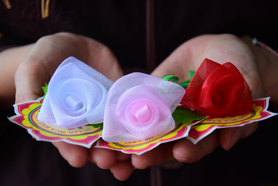 Hoa Lễ Vu Lan: Ý Nghĩa Các Màu Hoa Và Mẫu Hoa Đẹp Báo Hiếu 8 hoa lễ vu lan